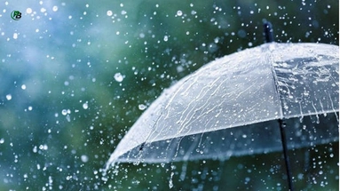 rainy day